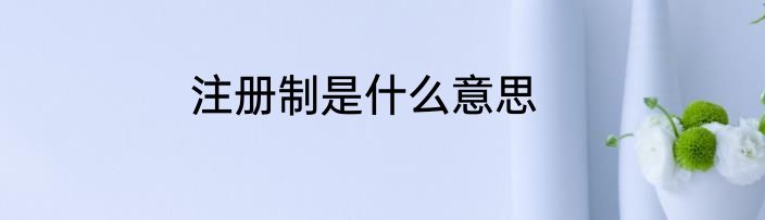 注册制是什么意思