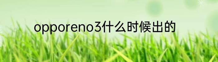 opporeno3什么时候出的