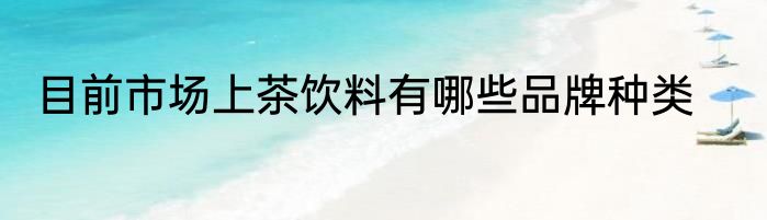 目前市场上茶饮料有哪些品牌种类