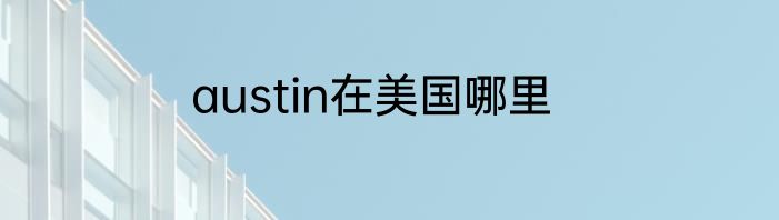 austin在美国哪里