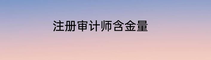 注册审计师含金量