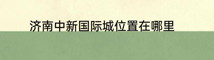 济南中新国际城位置在哪里