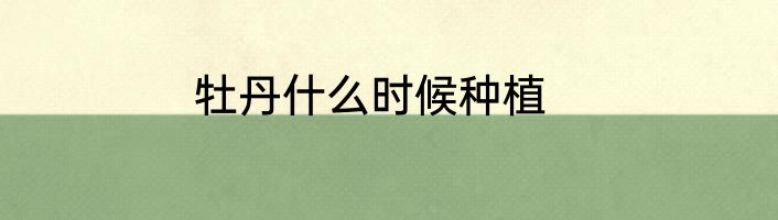 牡丹什么时候种植