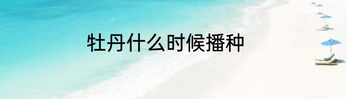 牡丹什么时候播种