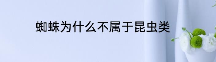 蜘蛛为什么不属于昆虫类