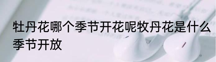 牡丹花哪个季节开花呢牧丹花是什么季节开放