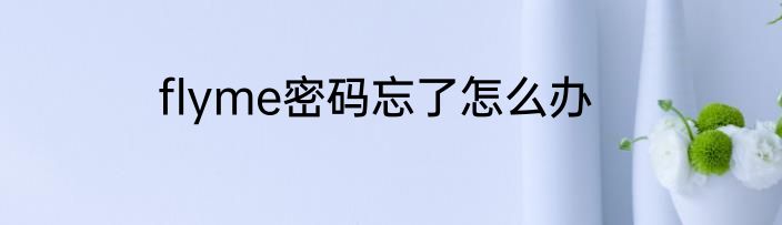 flyme密码忘了怎么办