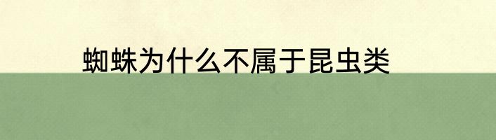 蜘蛛为什么不属于昆虫类