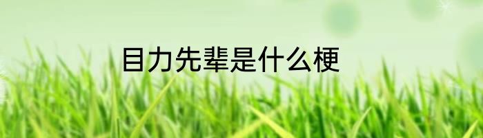目力先辈是什么梗