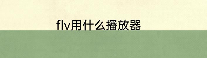 flv用什么播放器