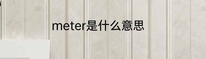 meter是什么意思