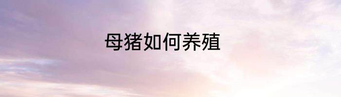 母猪如何养殖