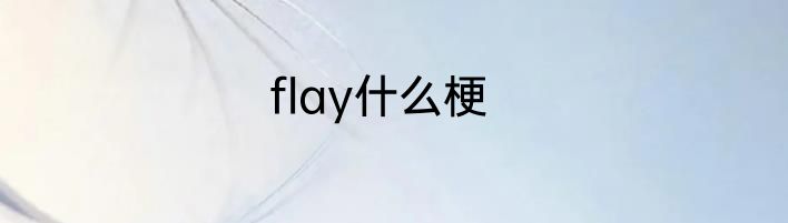 flay什么梗