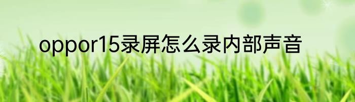 oppor15录屏怎么录内部声音