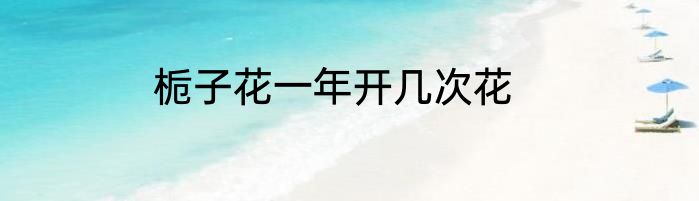 栀子花一年开几次花