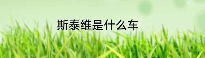 斯泰维是什么车