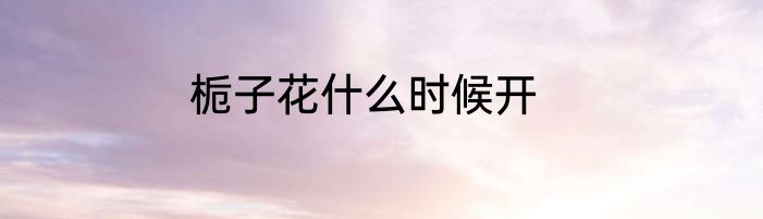 栀子花什么时候开