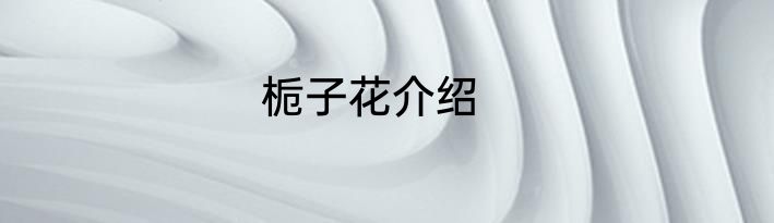 栀子花介绍