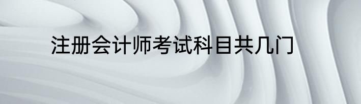 注册会计师考试科目共几门