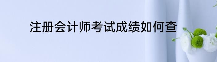 注册会计师考试成绩如何查