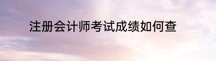 注册会计师考试成绩如何查