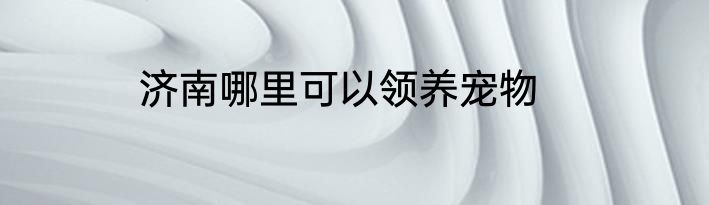济南哪里可以领养宠物