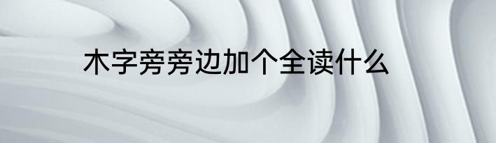 木字旁旁边加个全读什么