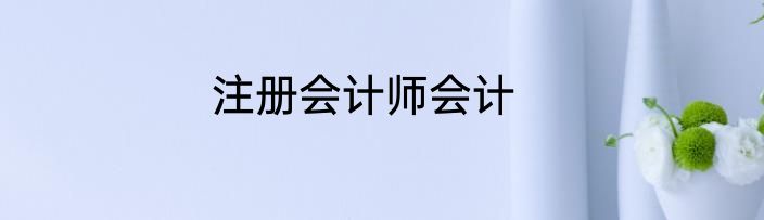 注册会计师会计