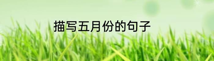 描写五月份的句子