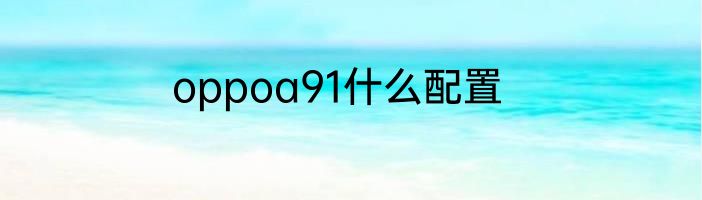 oppoa91什么配置