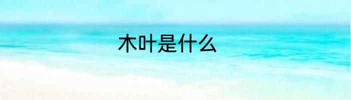 木叶是什么
