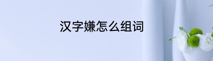 汉字嫌怎么组词