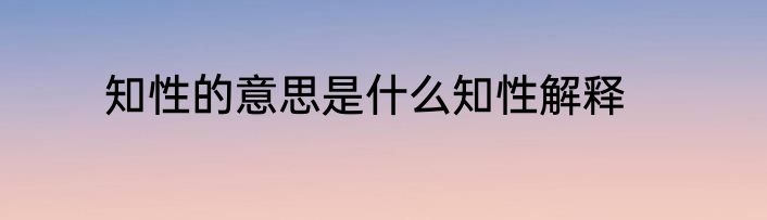 知性的意思是什么知性解释