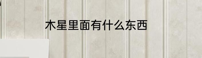 木星里面有什么东西