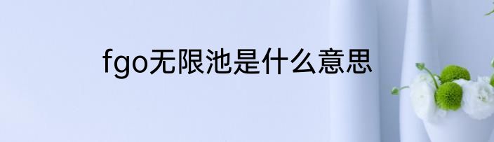 fgo无限池是什么意思