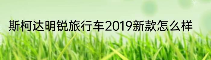 斯柯达明锐旅行车2019新款怎么样