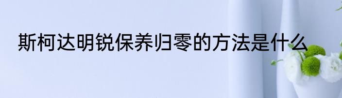 斯柯达明锐保养归零的方法是什么