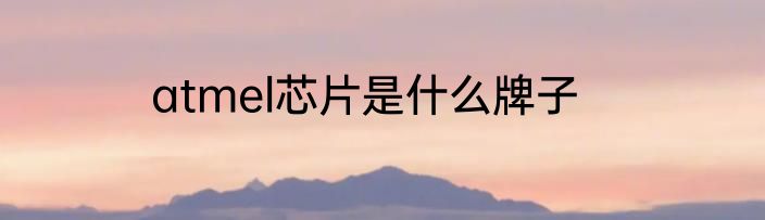 atmel芯片是什么牌子