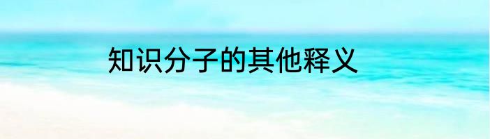 知识分子的其他释义