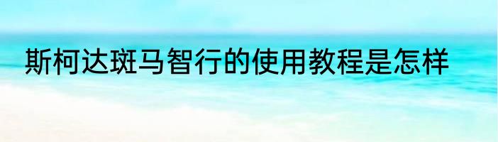 斯柯达斑马智行的使用教程是怎样