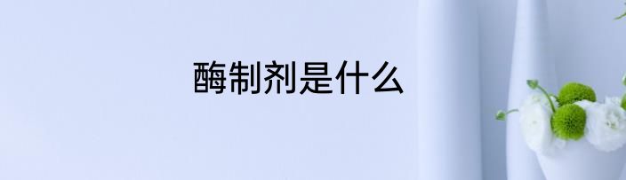 酶制剂是什么