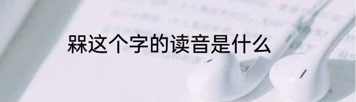 槑这个字的读音是什么