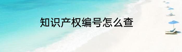 知识产权编号怎么查
