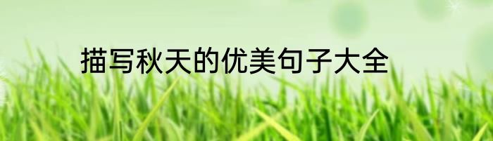 描写秋天的优美句子大全