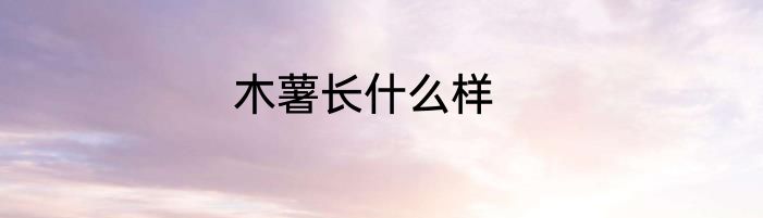 木薯长什么样