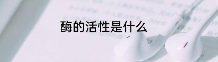 酶的活性是什么