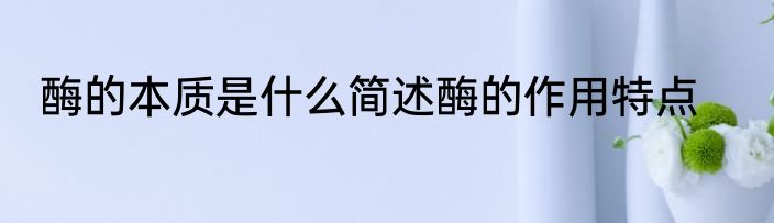 酶的本质是什么简述酶的作用特点