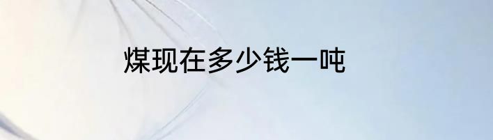 煤现在多少钱一吨
