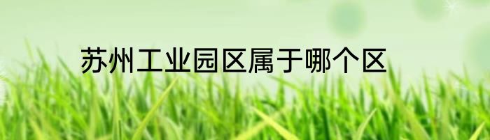 苏州工业园区属于哪个区
