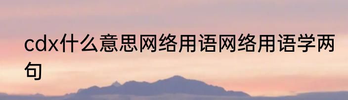 cdx什么意思网络用语网络用语学两句